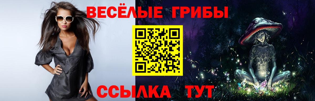Галлюциногенные грибы GOLDEN TEACHER  Вход с VPN  Белорецк 